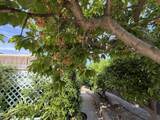 1047 Linwood Street - Photo 33