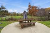 33721 Globe Drive - Photo 53