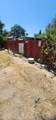 37774 Hunter Road - Photo 15