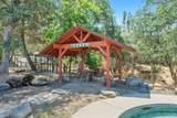 29412 Gibbs Ranch Road - Photo 43