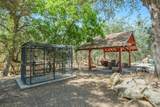 29412 Gibbs Ranch Road - Photo 44
