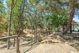 29412 Gibbs Ranch Road - Photo 47