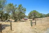 29412 Gibbs Ranch Road - Photo 50