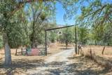 29412 Gibbs Ranch Road - Photo 57