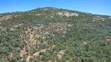 29412 Gibbs Ranch Road - Photo 8