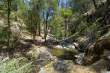 45000 Manter Meadow Road - Photo 36