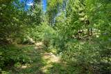 45000 Manter Meadow Road - Photo 6