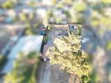 1005 Austin Street - Photo 27