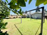 1009 Elverta Street - Photo 78