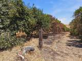 1098 Foothill - Photo 70