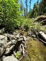 18 White River Road - Photo 24