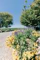 23894 Rd 126 - Photo 5