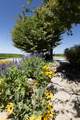 23894 Rd 126 - Photo 7