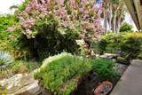 1105 Cindy Street - Photo 65
