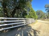 296 Rabbit Foot Trail - Photo 11