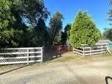 296 Rabbit Foot Trail - Photo 12