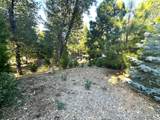 296 Rabbit Foot Trail - Photo 13