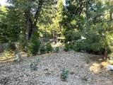 296 Rabbit Foot Trail - Photo 14