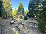 296 Rabbit Foot Trail - Photo 16
