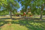 31061 Palm Drive - Photo 39