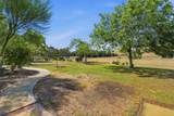 31061 Palm Drive - Photo 41