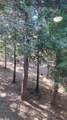 1271 Wy Court - Photo 32
