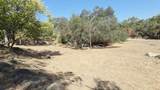 37647 Rio Vista Drive - Photo 10