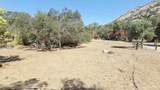 37647 Rio Vista Drive - Photo 11