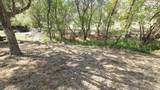 37647 Rio Vista Drive - Photo 17