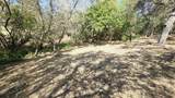 37647 Rio Vista Drive - Photo 19