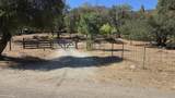 37647 Rio Vista Drive - Photo 3