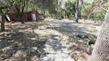 37647 Rio Vista Drive - Photo 38