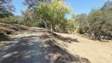 37647 Rio Vista Drive - Photo 9