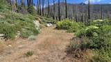 53009 Pine View Drive - Photo 1
