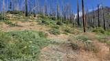 53009 Pine View Drive - Photo 11