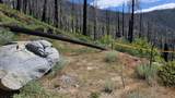 53009 Pine View Drive - Photo 12