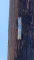 53009 Pine View Drive - Photo 18