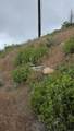 53009 Pine View Drive - Photo 19
