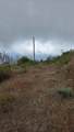 53009 Pine View Drive - Photo 21