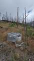 53009 Pine View Drive - Photo 23