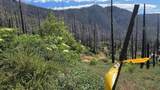 53009 Pine View Drive - Photo 3