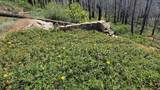 53009 Pine View Drive - Photo 4