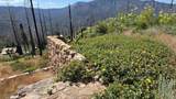 53009 Pine View Drive - Photo 9