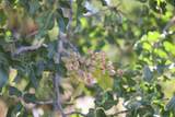  Road 20 1/2 - Photo 10