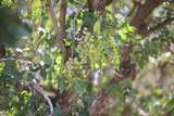  Road 20 1/2 - Photo 11