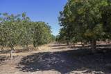  Road 20 1/2 - Photo 5