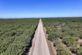  Road 20 1/2 - Photo 7