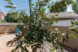 322 Dayton Street - Photo 34