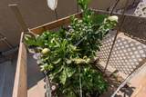 322 Dayton Street - Photo 35