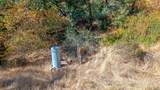 49195 Dunlap Road - Photo 3